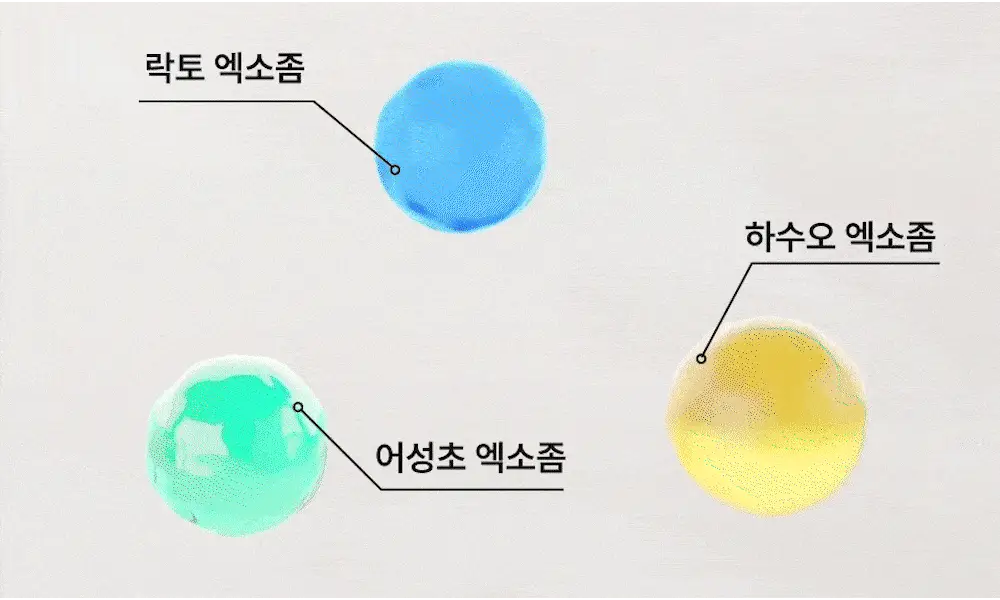 [포켓몬 에디션][비듬/각질케어]릴리이브 스칼프턴 시카 PDRN 브러쉬 앰플 100ml 2종 택1 상세페이지 44